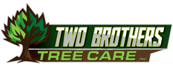 Two Brothers Tree Care Inc. logo